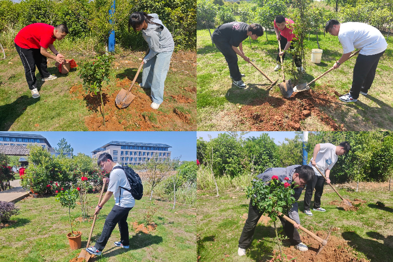 图为志愿者植树现场.jpg