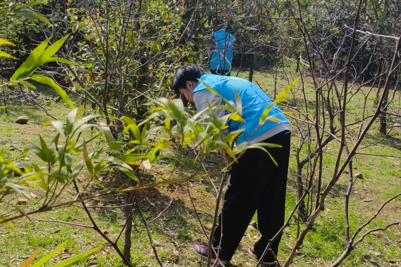 图为志愿者清理易对动物产生伤害物品.jpg
