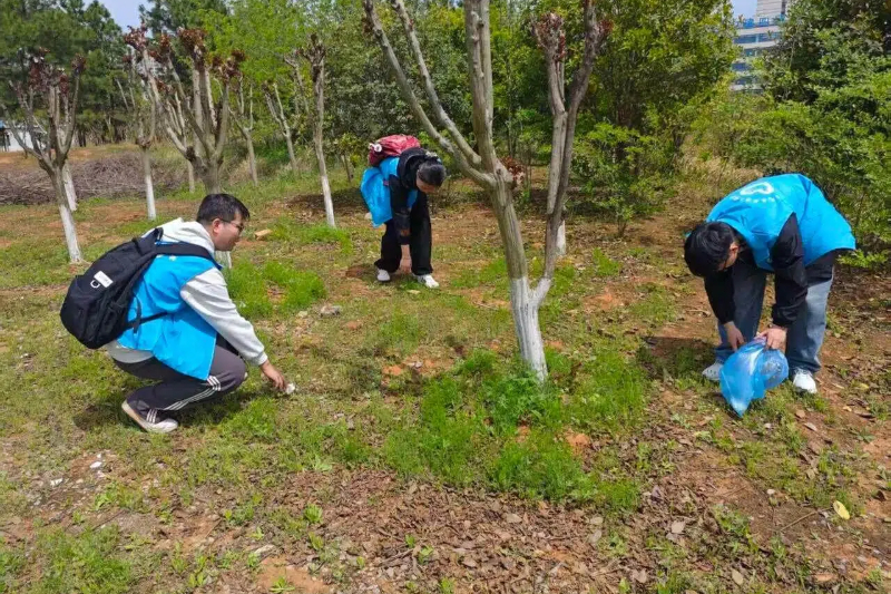 图为志愿者在清理后山垃圾.jpg