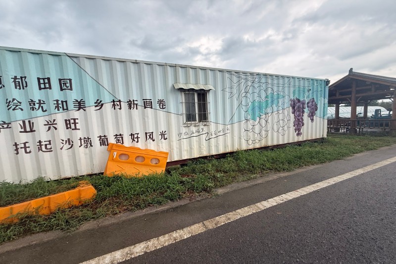 图为陶辛镇周边的葡萄园.jpg