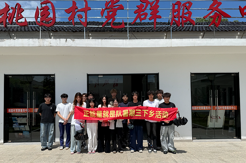 图为实践团在桃园村合影.png